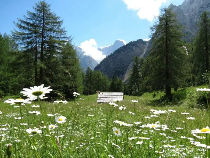 Vrsic Pass drive, Triglav National Park