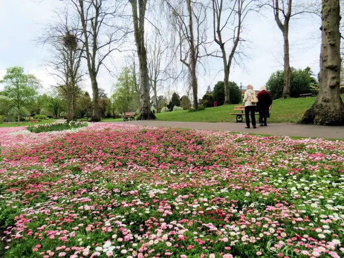 Bettys afternoon tea, and Flowers bloom in Harrogate's parks, Yorkshire