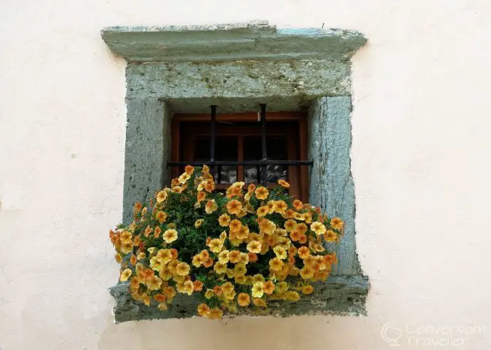 A windowbox in Radovljica, Slovenia