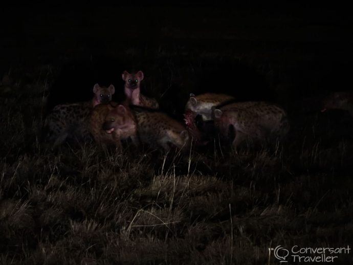 Saruni Mara luxury lodge - night game drives in Masai Mara North Conservancy, Kenya