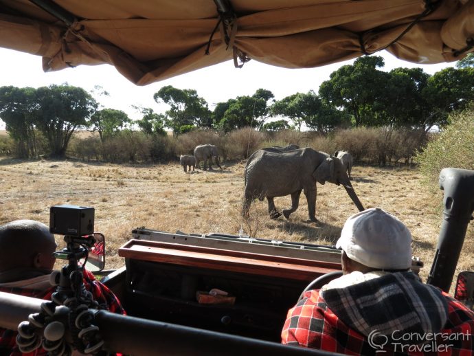 Saruni Mara luxury lodge - game drive with Lemeria and Daniel in Masai Mara North Conservancy, Kenya