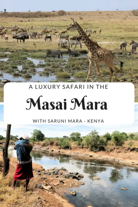 What its like to go on a luxury safari with Saruni Mara in the Masai Mara - Mara North Conservancy in Kenya. #kenya #masaimara #safari #sarunimara #maranorth