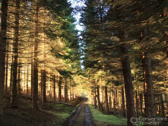 The forest track leading to the White Tower of Taymouth Castle, luxury Scotland self catering retreat 