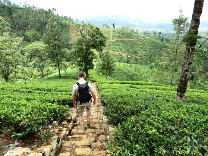 Stay on a tea estate in Sri Lanka - Governors Mansion luxury hotel