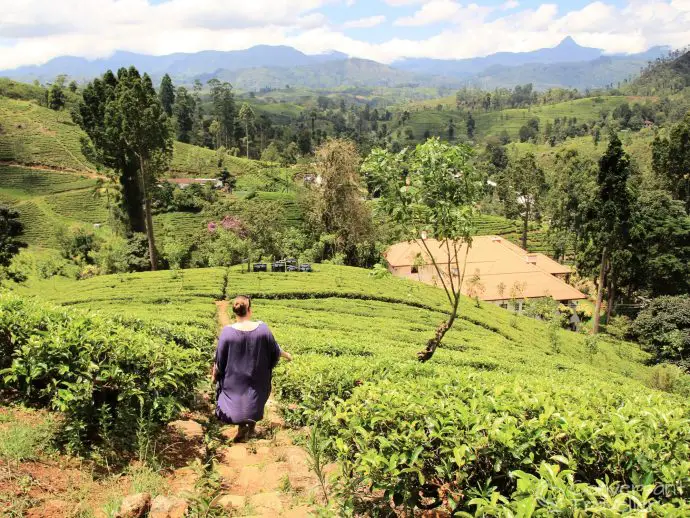 Stay on a tea estate in Sri Lanka - Governors Mansion luxury hotel