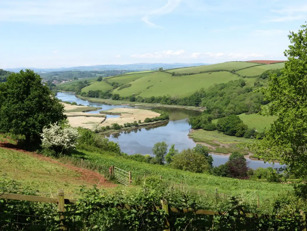 Dart River Valley from Sharpham Wine Estate