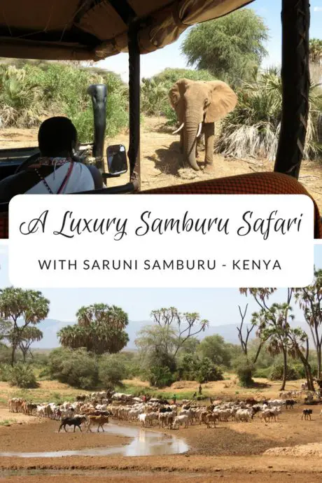 A luxury safari in the Samburu in northern Kenya with Saruni Samburu, seeing the Samburu Special 5, enjoying bush breakfasts and meeting Samburu warriors. #Samburu #Saruni #Kenya #SaruniSamburu #Safari