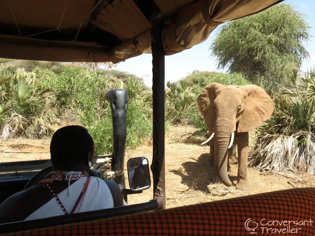 Saruni Samburu luxury safari lodge Kenya