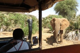 Saruni Samburu luxury safari lodge Kenya
