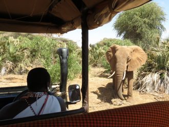 Saruni Samburu luxury safari lodge Kenya