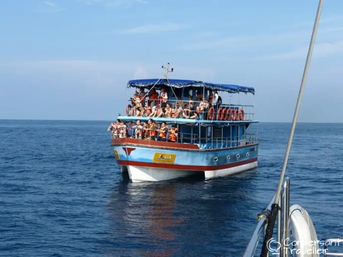 Luxury whale watching Sri Lanka - overnight catamaran from Mirissa with Sail Lanka