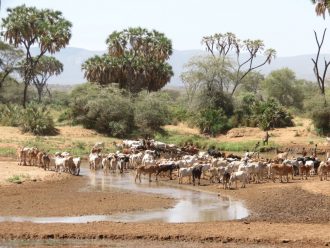 Samburu herders, Saruni Samburu luxury safari lodge Kenya