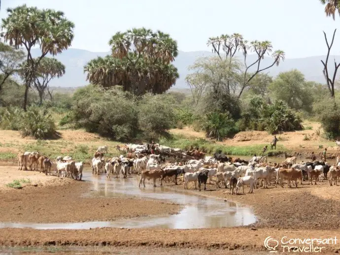 Samburu herders, Saruni Samburu luxury safari lodge Kenya