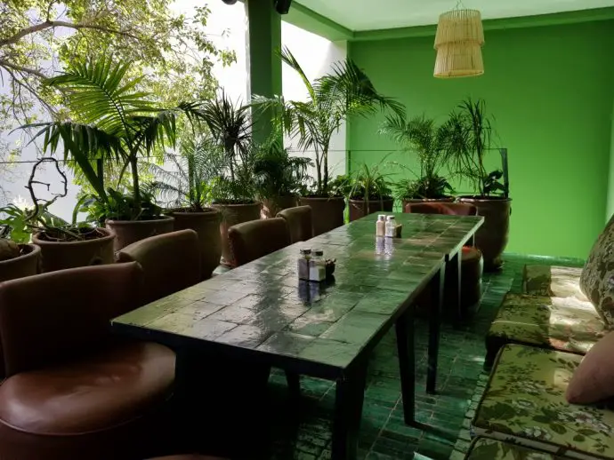 Long table with seating surrounded by pot plants and green painted walls