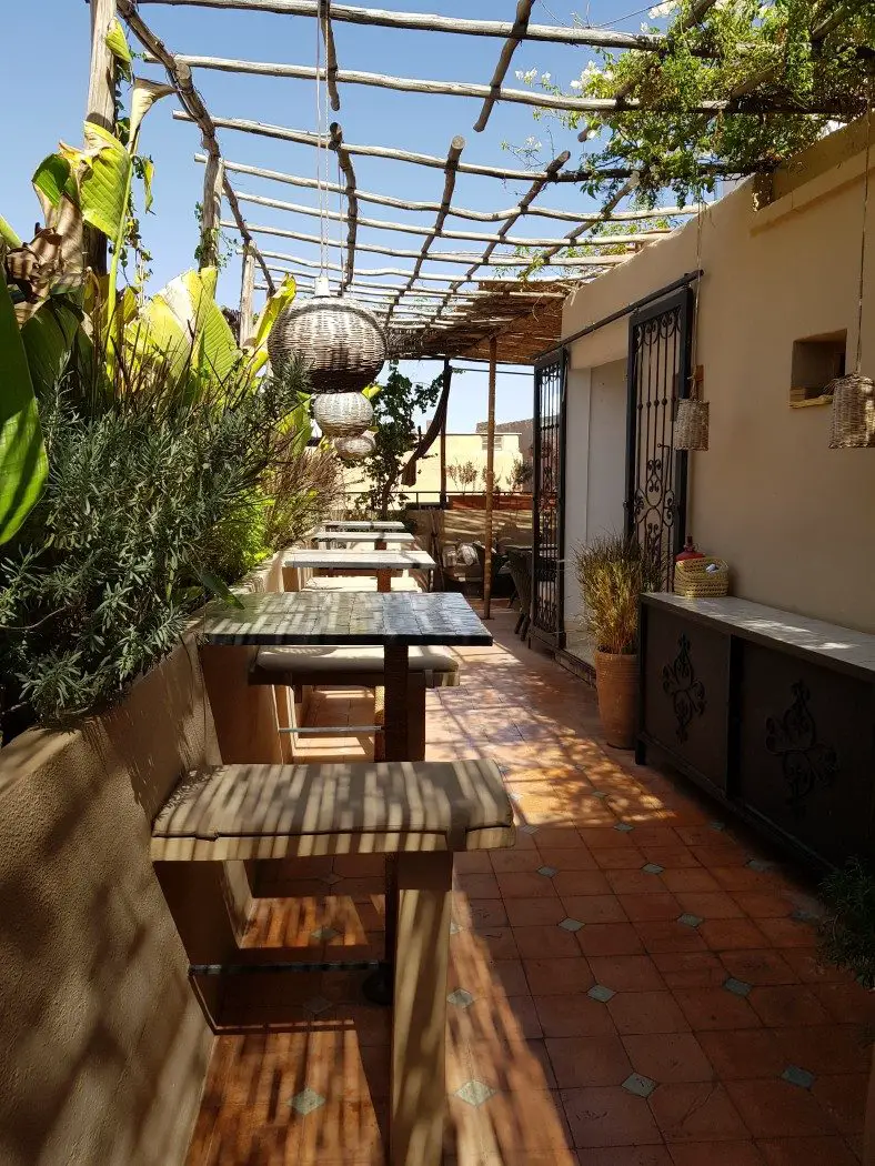 Roof terrace cafe with seating and greenery