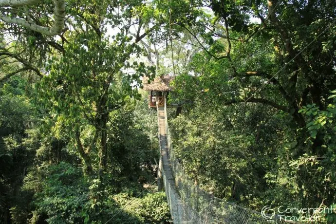 Tree house at Inkaterra Amazonica Peru, Tambopata, Amazon Rainforest