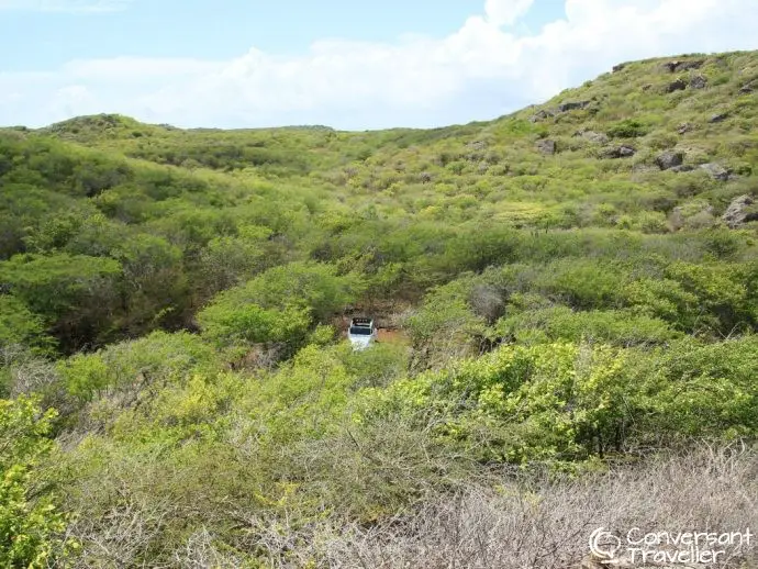 Renting a car in Curacao, driving in Curacao - Christoffel National Park