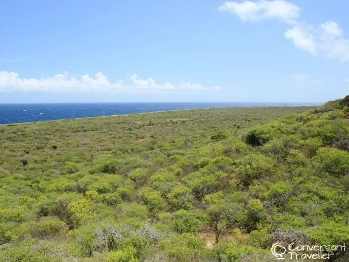 Renting a car in Curacao, driving in Curacao - Christoffel National Park