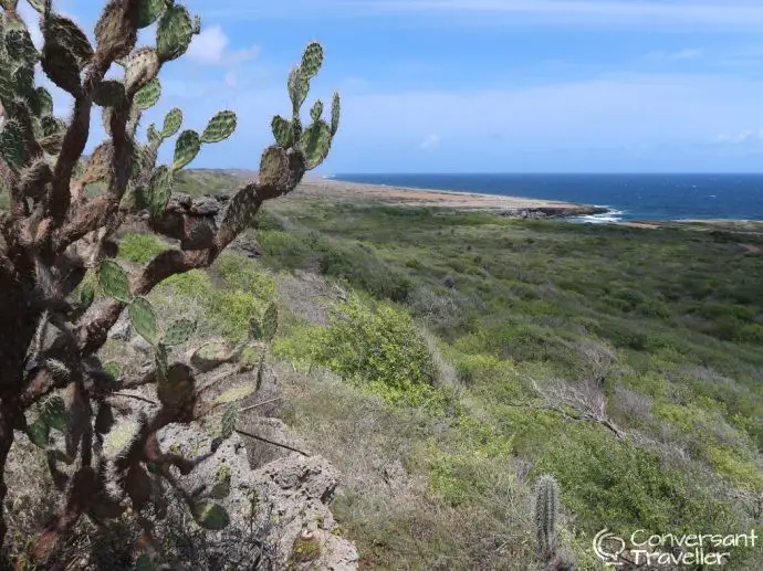 Renting a car in Curacao, driving in Curacao - Christoffel National Park