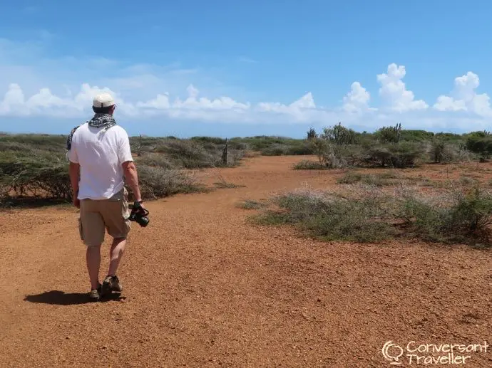 Renting a car in Curacao, driving in Curacao - Christoffel National Park