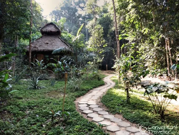 Amazon jungle tour - Tambopata - Rainforest Expeditions
