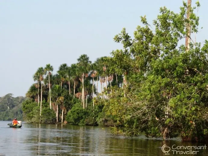 Lake Sandoval near Inkaterra Reserva Amazonica jungle treehouse Tambopata Peru