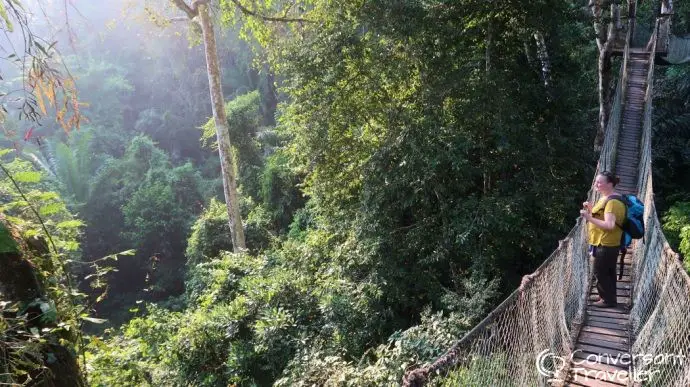 Canopy walkway at Inkaterra Reserva Amazonica jungle treehouse Tambopata Peru