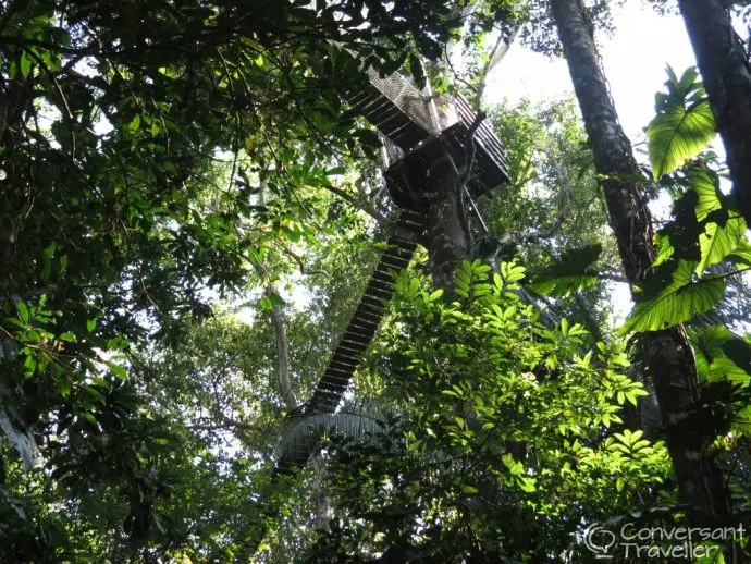 Canopy walkway at Inkaterra Reserva Amazonica jungle treehouse Tambopata Peru