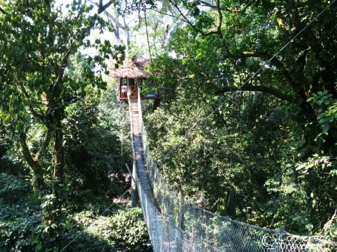 Inkaterra Reserva Amazonica jungle treehouse Tambopata Peru