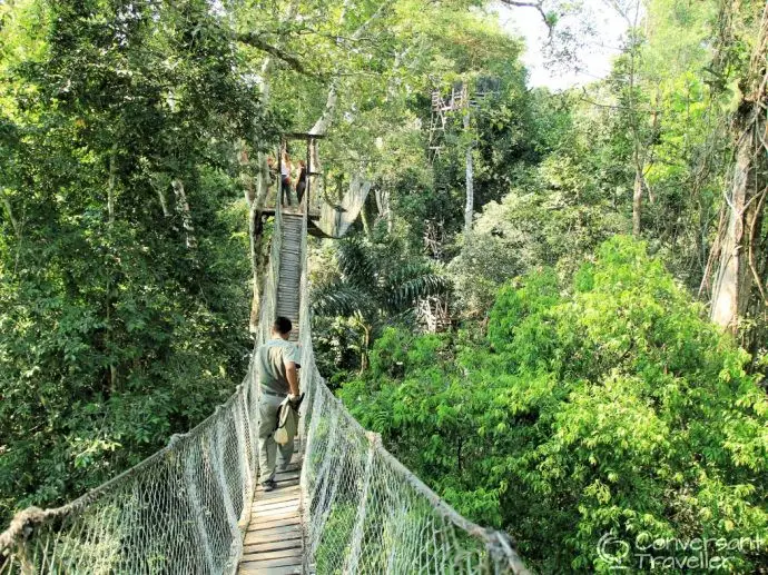Inkaterra Reserva Amazonica jungle canopy treehouse Tambopata Peru