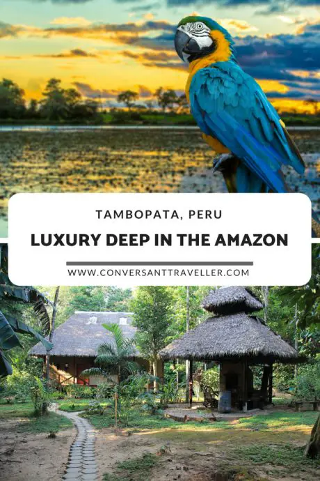 Staying in a private luxury villa in the heart of the Amazon Rainforest, Tambopata, Peru, with Rainforest Expeditions #Rainforest #Amazon #Peru #RainforestExpeditions #luxuryperu #Tambopata