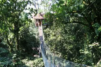 Inkaterra Reserva Amazonica jungle treehouse - Tambopata Peru