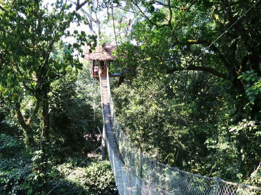 Inkaterra Reserva Amazonica jungle treehouse - Tambopata Peru