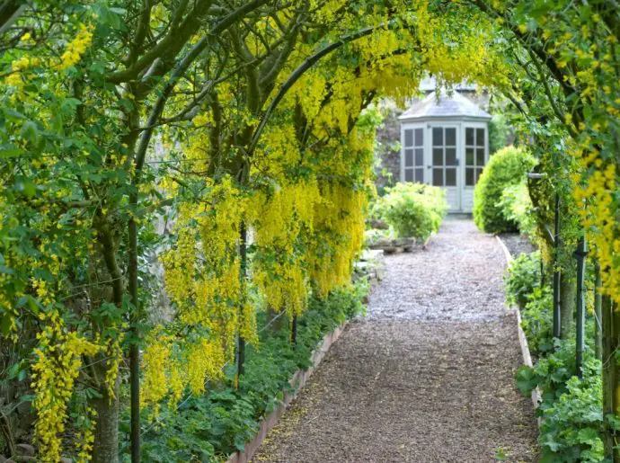 Aikwood Tower gardens - luxury self catering Scotland - in a peel tower near Selkirk in the Scottish Borders