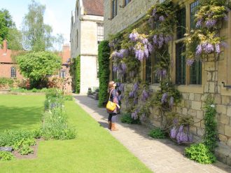 Admiring the wisteria at Treasurers House in York