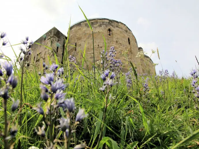 Cliffords Tower bluebells - how to spend a luxury weekend in York