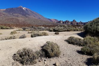 Mount Teide in Tenerife
