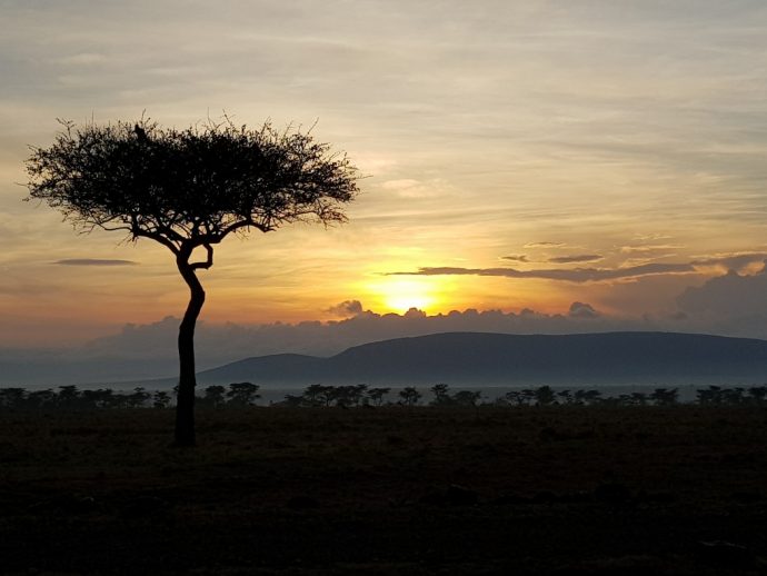 Sunrise in the Naboisho Conservancy - Ol Seki Camp - Masai Mara safari