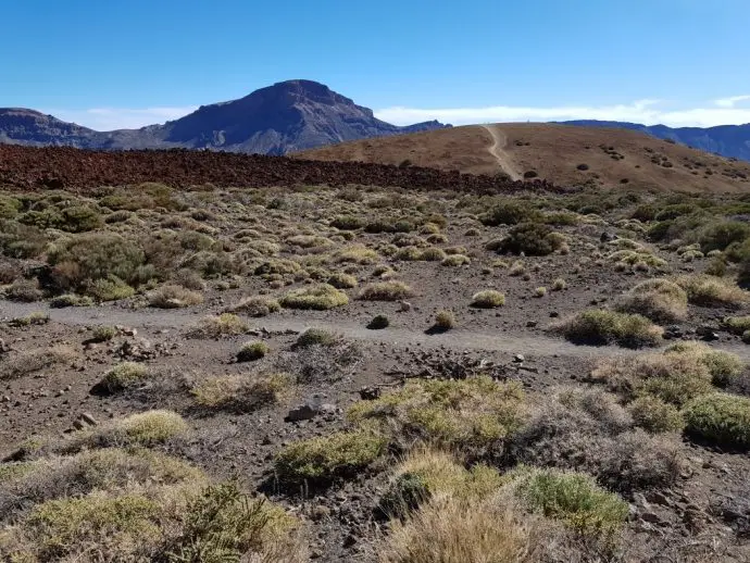 Teide National Park in Tenerife