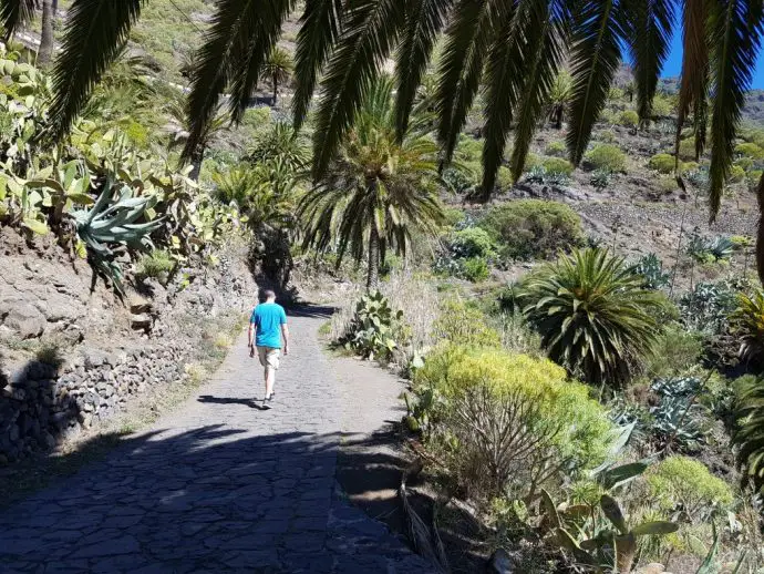 The footpath to Masca in Tenerife