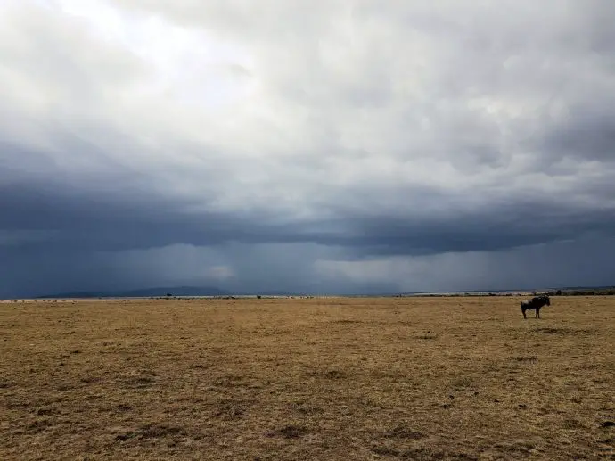 The storm approaches in the Naboisho Conservancy - Ol Seki safari