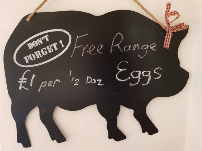 Free range eggs at Pitt Farm Cottage