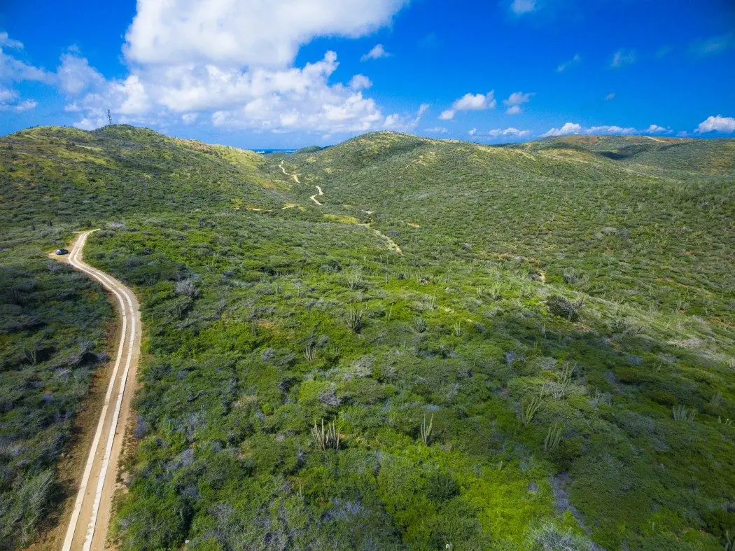 Landscape in Arikok National Park