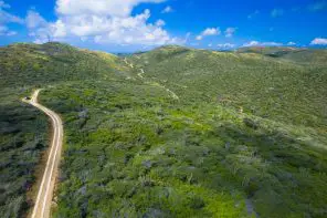 Landscape in Arikok National Park
