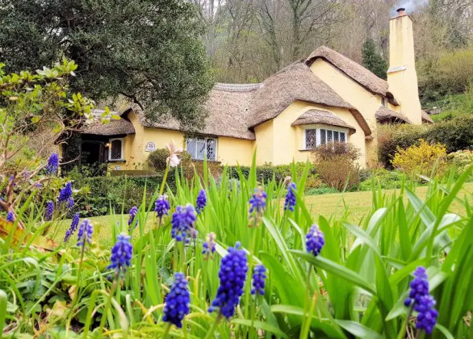 Thatched cottage in Selworthy Village in Exmoor