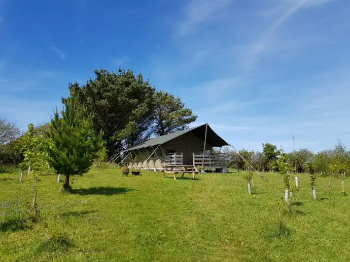 Glamping tent and surrounding field at Wrinklers Wood in Cornwall
