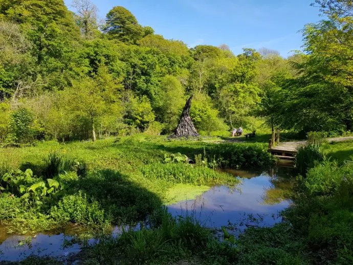 charcoal sculpture in a woodland