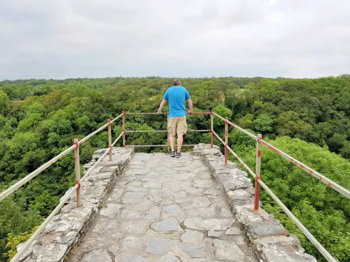 Man in blue t-shirt standing on the end of a high wall looking down into a gorge with trees all around