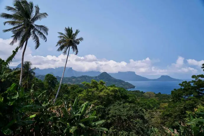 View from mountain top with palm trees in foreground, and ocean and distant peaks on the horizon