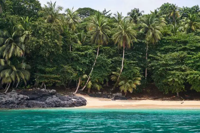 Tropical island with jungle at the edge of a beach, with turquoise sea in the foreground